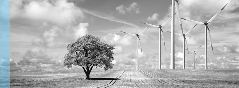  Image Name  - Auditoría ECOLEC