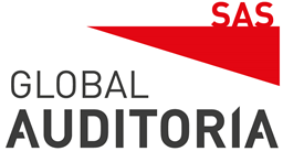 Sociedad de auditores de cuentas | Auditoria contable y financiera